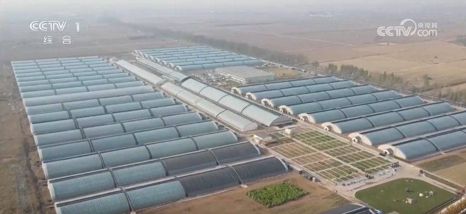 瓜果飘香好“丰”景 特色产业绘就乡村振兴“繁荣图”