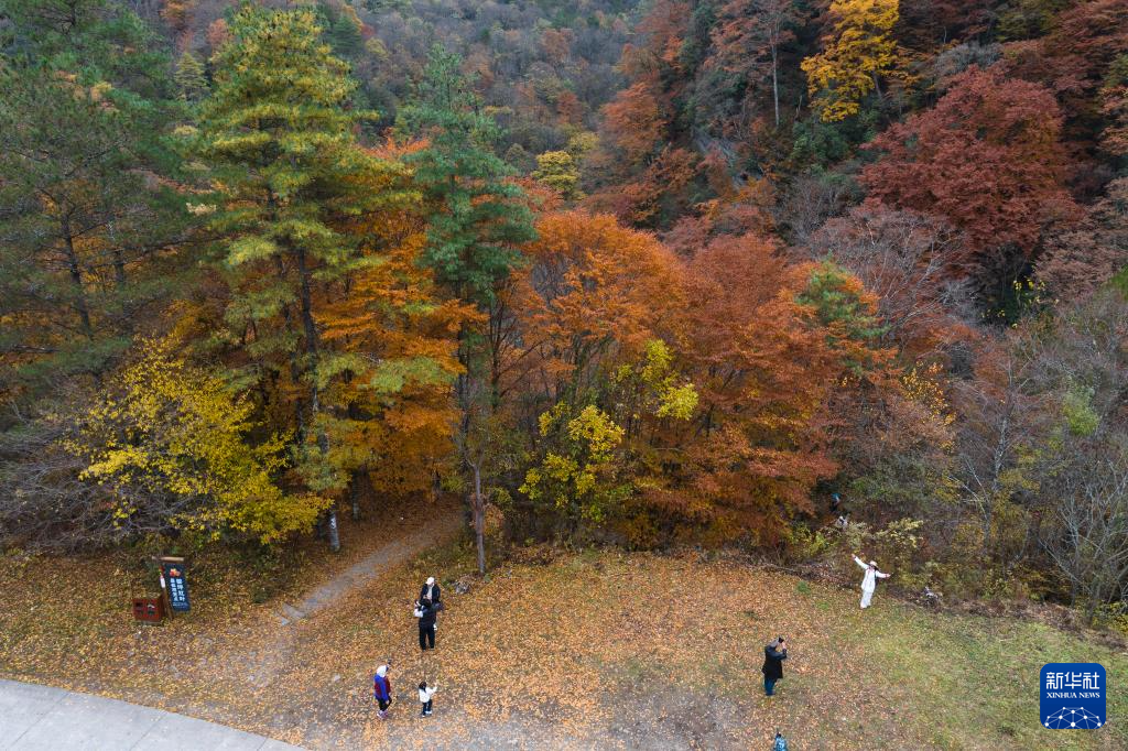 陕西南郑:秋色斑斓