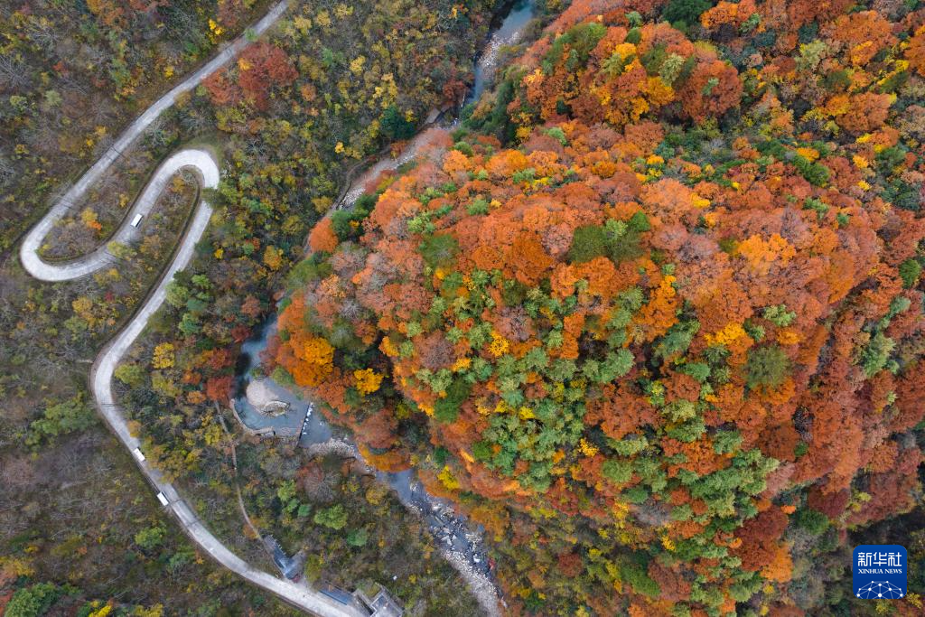 陕西南郑:秋色斑斓