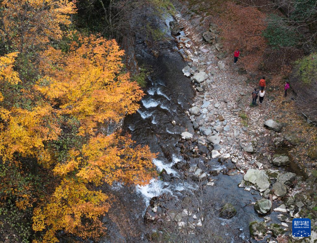 陕西南郑:秋色斑斓