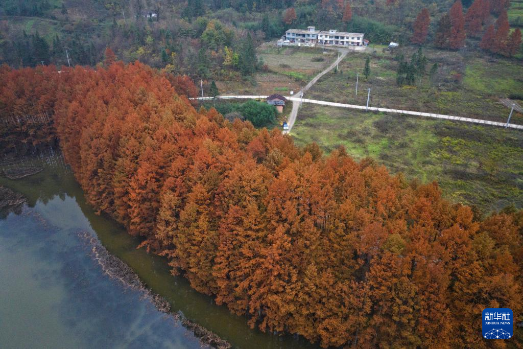 陕西南郑:秋色斑斓