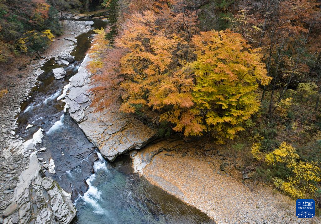 陕西南郑:秋色斑斓