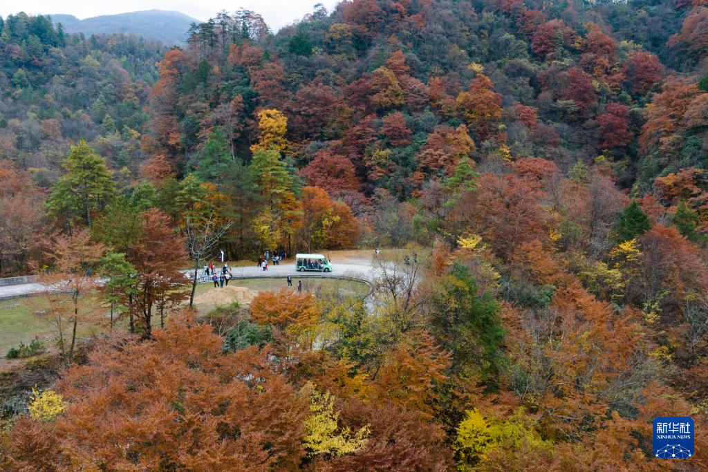 陕西南郑:秋色斑斓