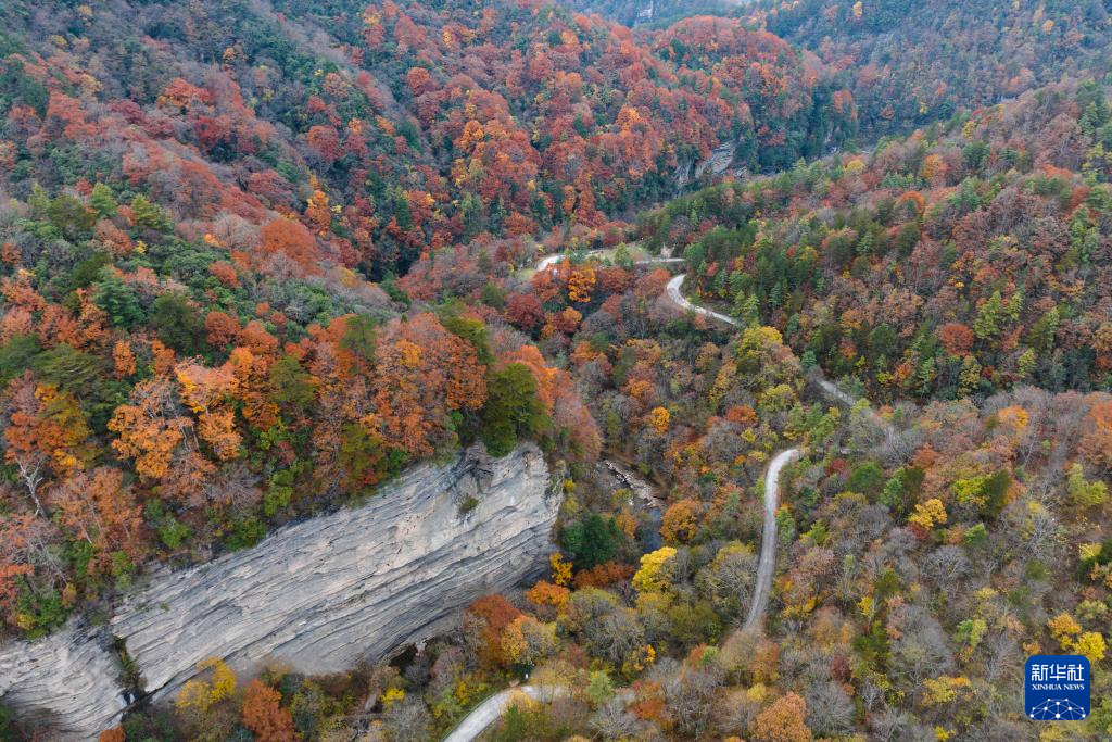 陕西南郑:秋色斑斓
