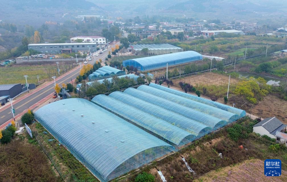 山东济南:产业联动激发山村发展新动力