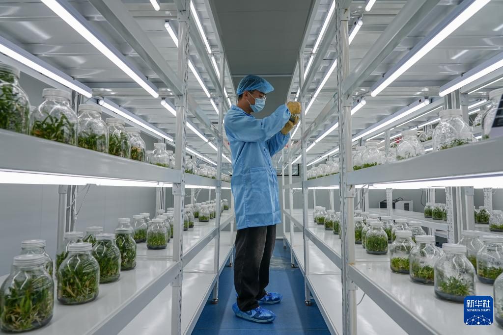 山东济南:产业联动激发山村发展新动力