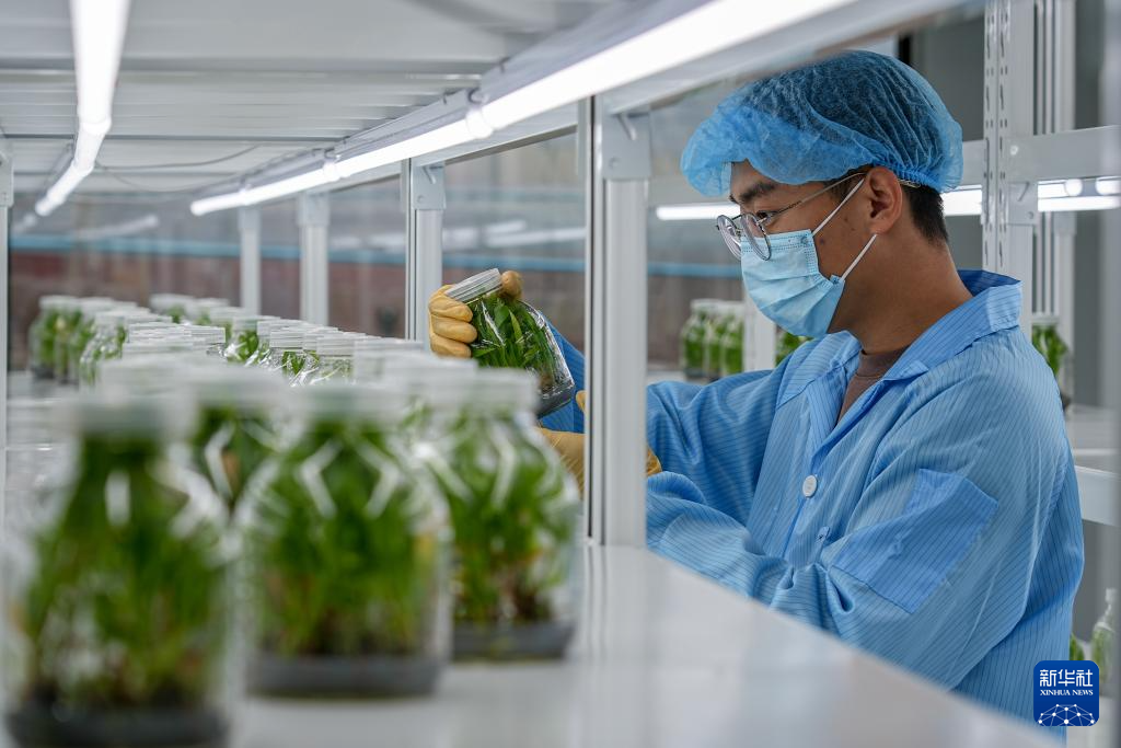 山东济南:产业联动激发山村发展新动力