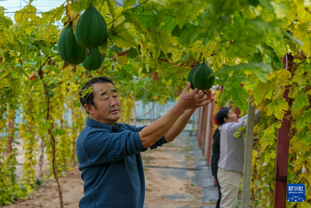 山东济南:产业联动激发山村发展新动力