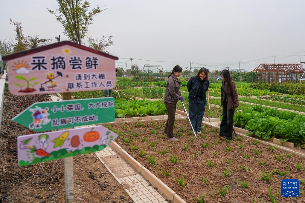 山东济南:产业联动激发山村发展新动力