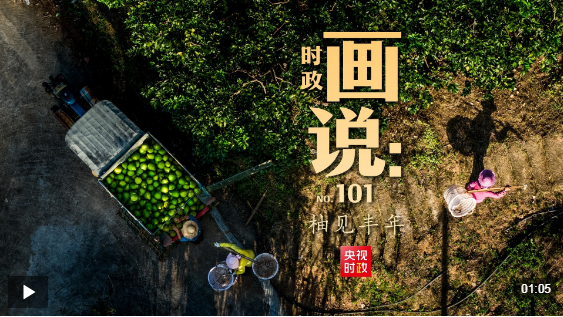 时政画说丨柚见丰年