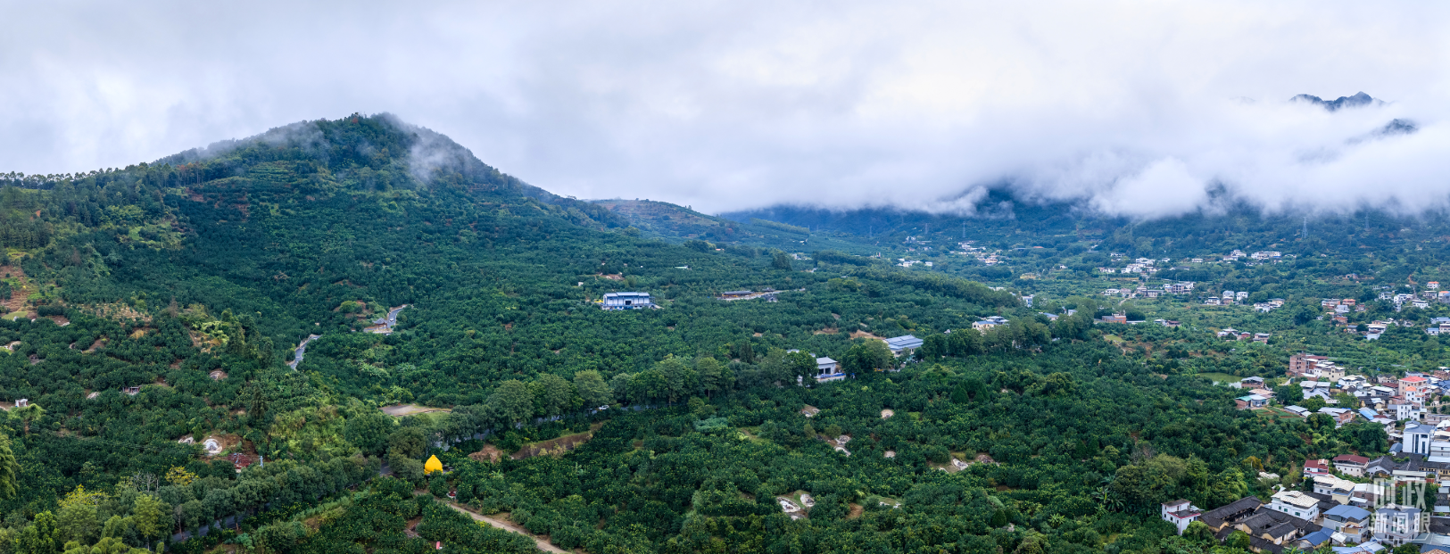时政新闻眼丨四中全会后首次考察,习近平来到广东梅州