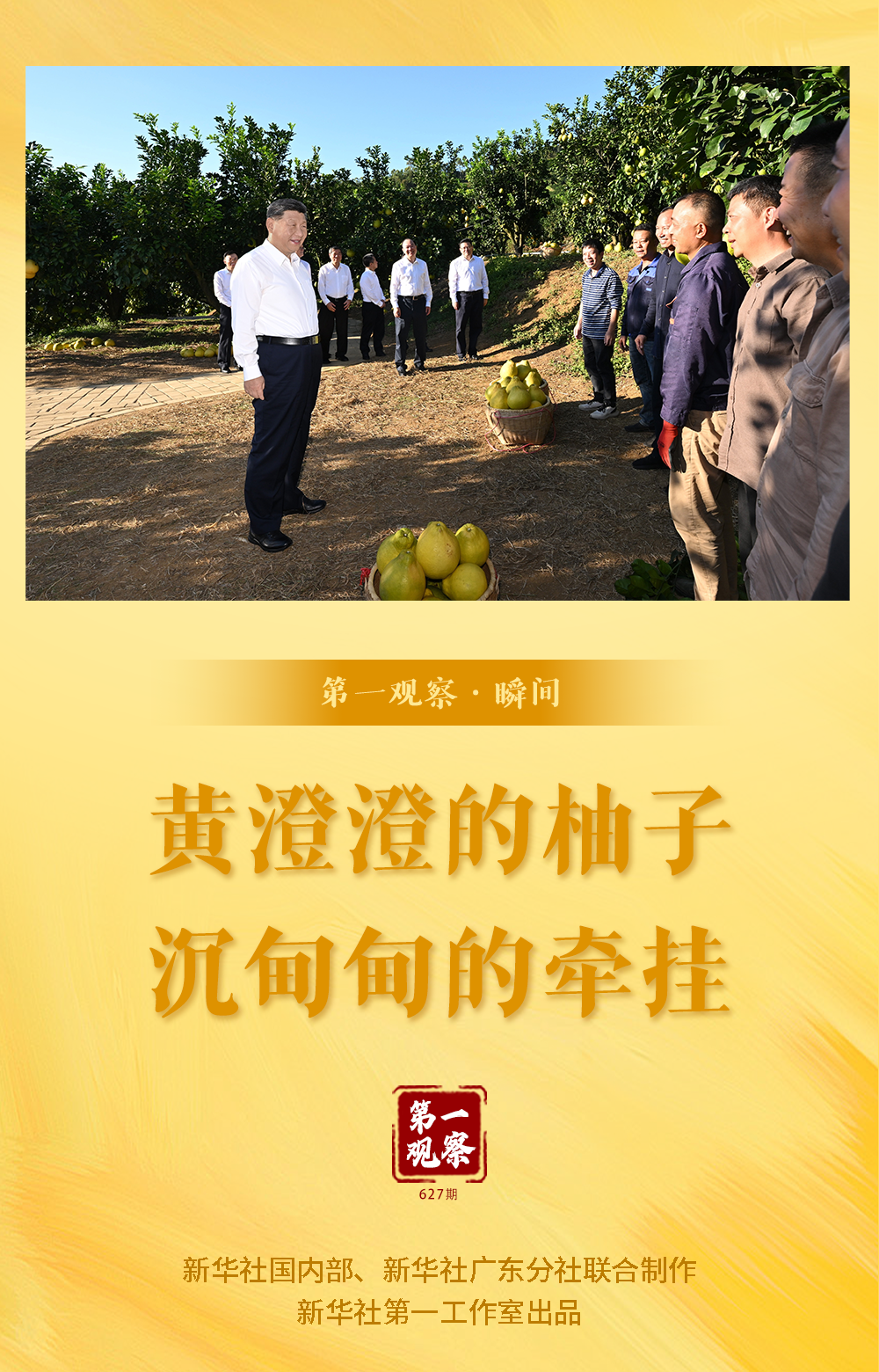 第一观察·瞬间|黄澄澄的柚子,沉甸甸的牵挂 第一观察·瞬间|黄澄澄的柚子,沉甸甸的牵挂