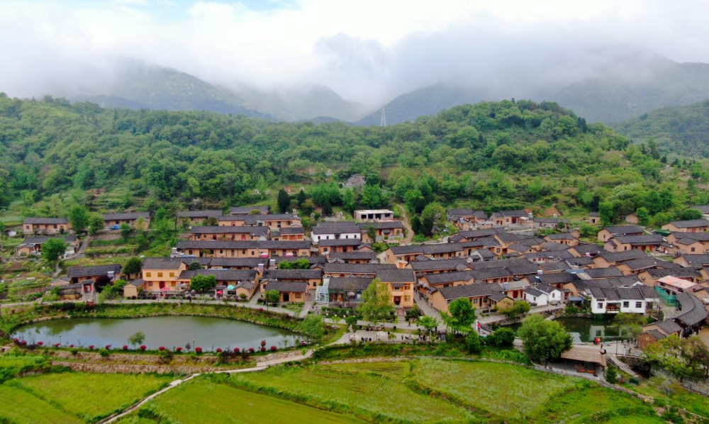 学习进行时|习近平总书记关心推动老区发展振兴的故事 学习进行时|习近平总书记关心推动老区发展振兴的故事