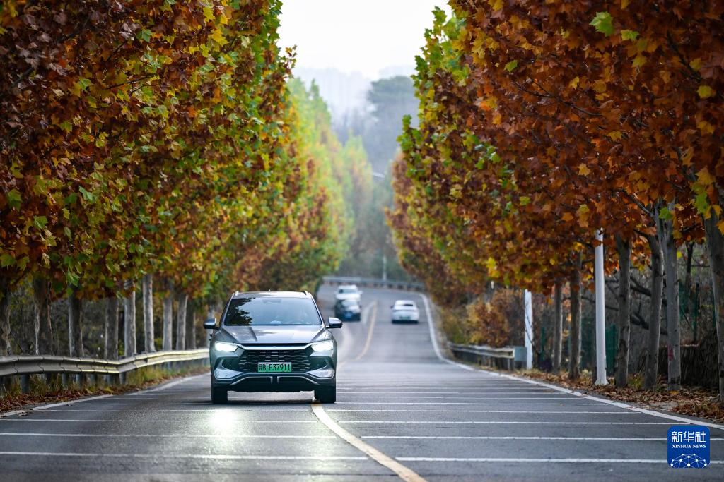 初冬京郊：斑斓画卷徐徐展开