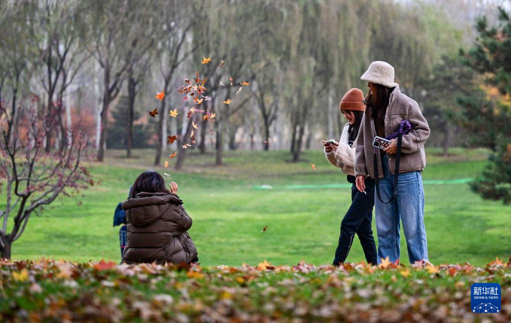 初冬京郊：斑斓画卷徐徐展开
