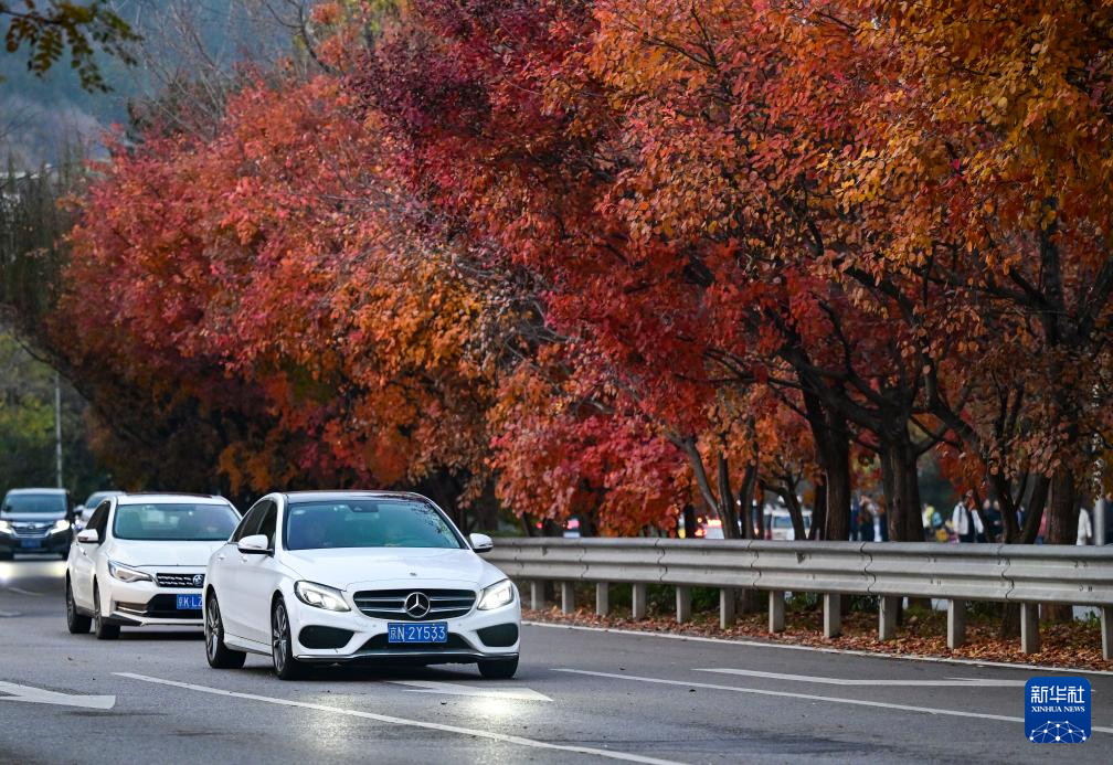 初冬京郊：斑斓画卷徐徐展开