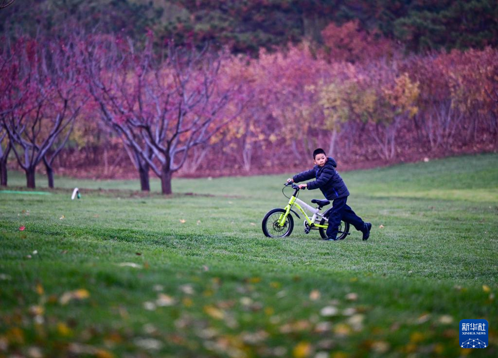 初冬京郊：斑斓画卷徐徐展开