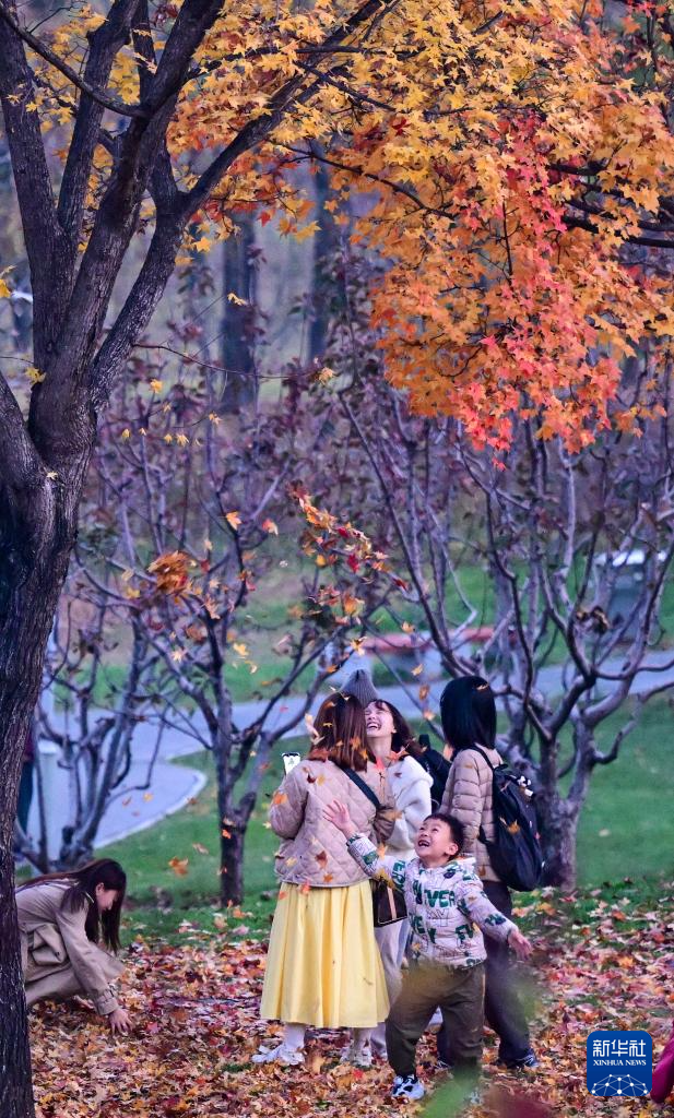 初冬京郊：斑斓画卷徐徐展开