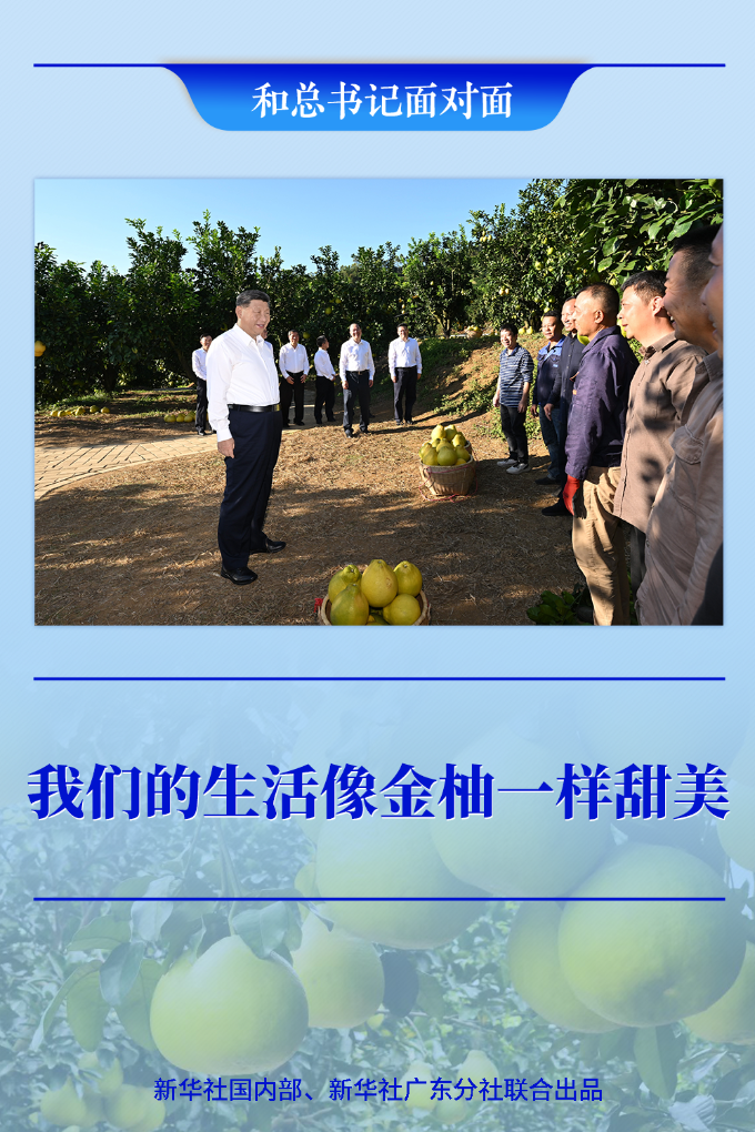 和总书记面对面丨我们的生活像金柚一样甜美
