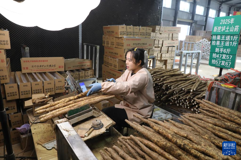 忙碌的“双十一”