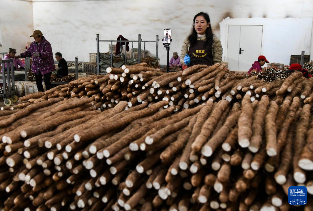 忙碌的“双十一”