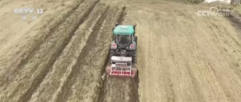 “新技术+新机械”助力播栽 夯实来年丰产丰收基础