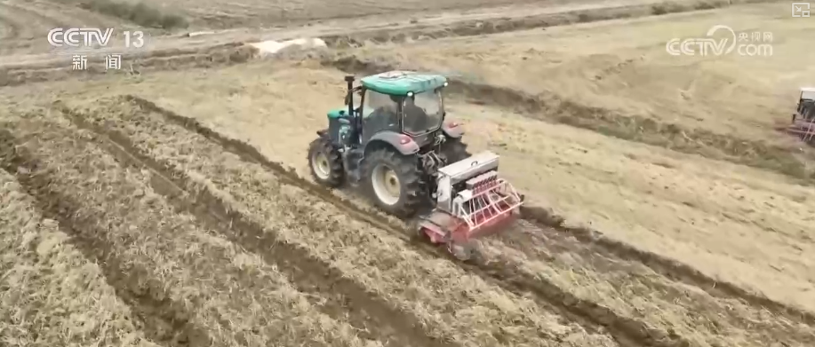 “新技术+新机械”助力播栽 夯实来年丰产丰收基础