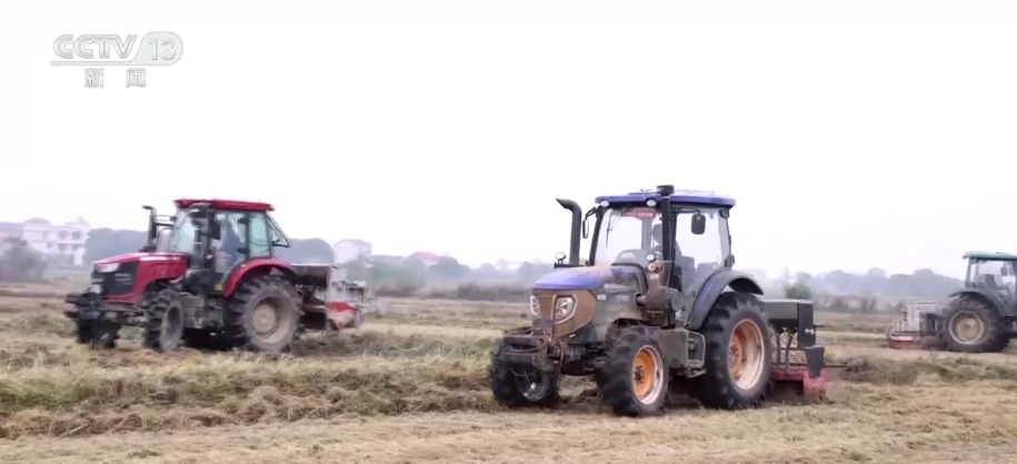 “新技术+新机械”助力播栽 夯实来年丰产丰收基础