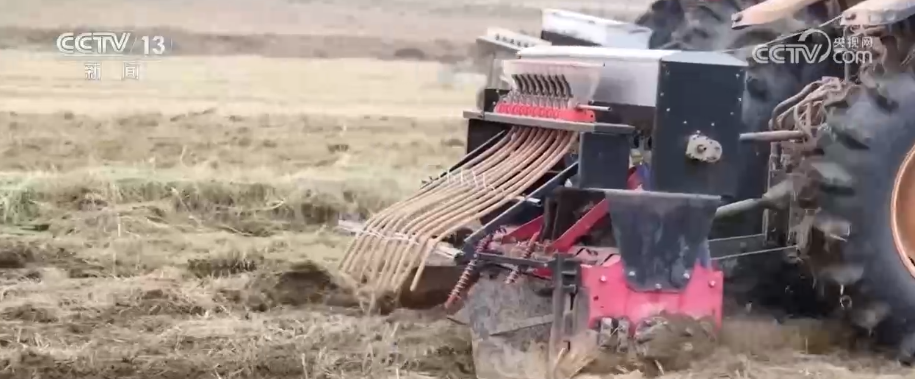 “新技术+新机械”助力播栽 夯实来年丰产丰收基础