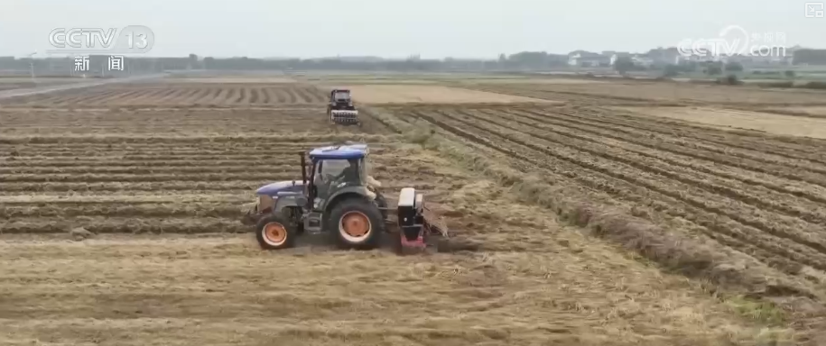 “新技术+新机械”助力播栽 夯实来年丰产丰收基础