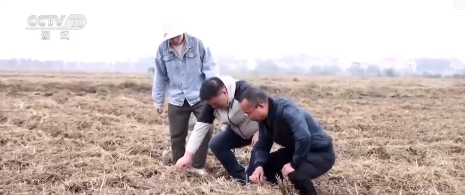 “新技术+新机械”助力播栽 夯实来年丰产丰收基础