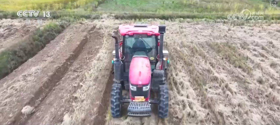 “新技术+新机械”助力播栽 夯实来年丰产丰收基础