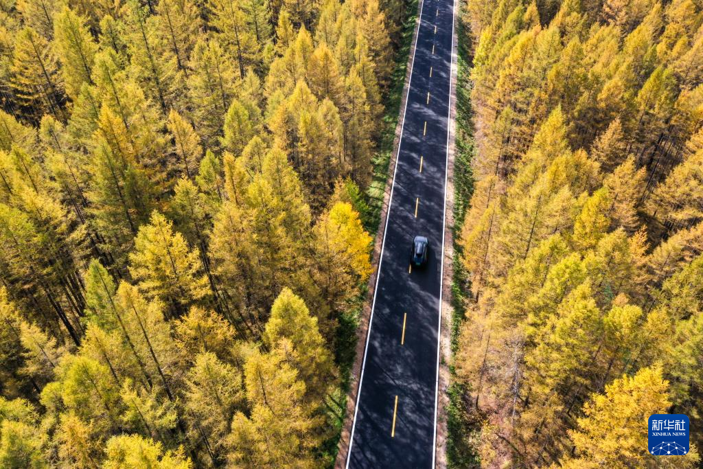 G331：“国门之路”促发展