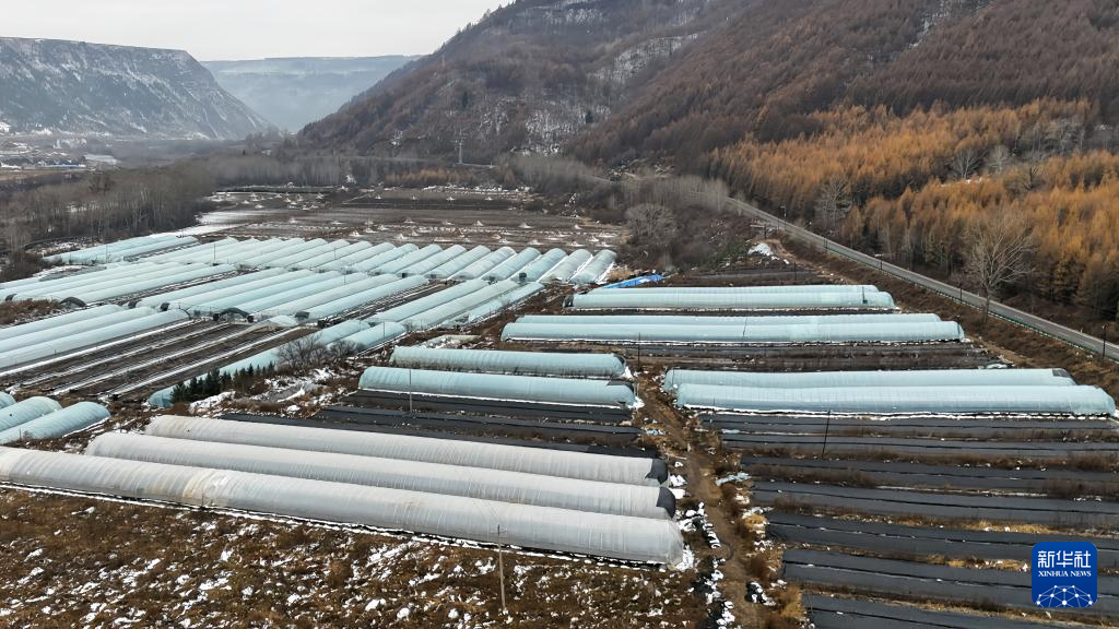 G331：“国门之路”促发展