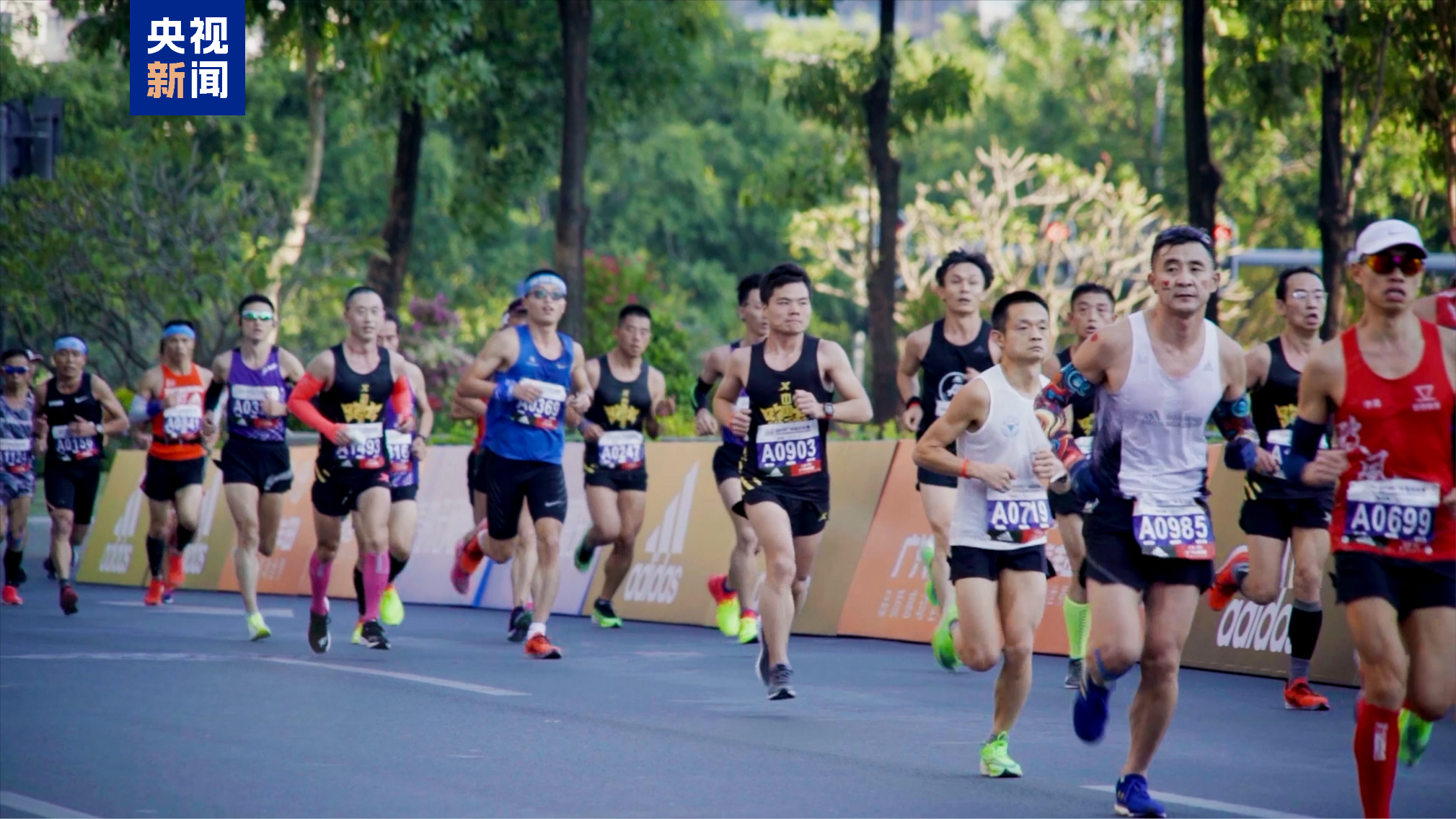 湾区速评丨赛场之外,体育赛事何以“燃”动大湾区? 湾区速评丨赛场之外,体育赛事何以“燃”动大湾区?