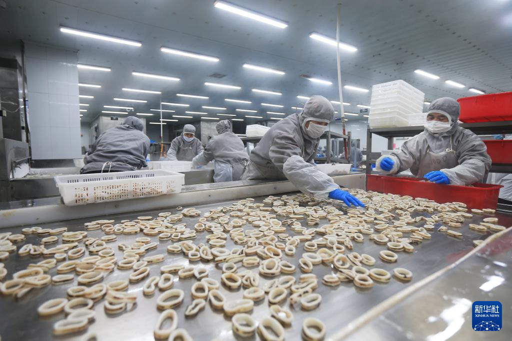 山东：耕海牧渔充盈“蓝色粮仓”