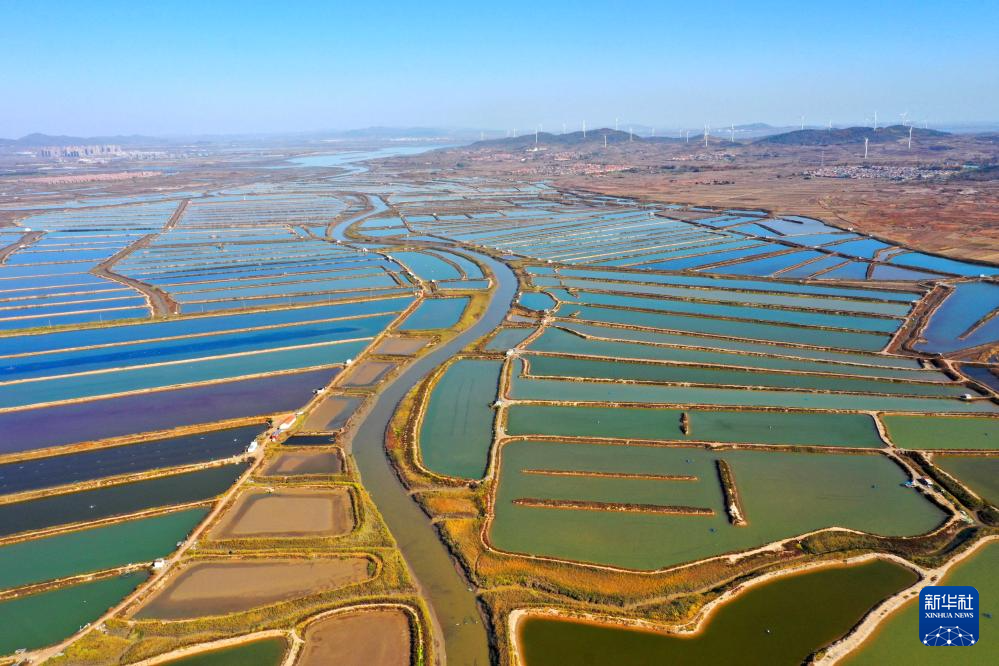 山东：耕海牧渔充盈“蓝色粮仓”