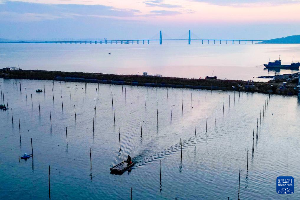 山东：耕海牧渔充盈“蓝色粮仓”