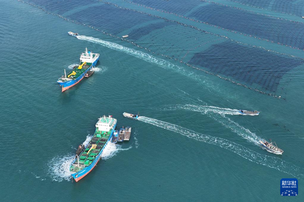 山东：耕海牧渔充盈“蓝色粮仓”