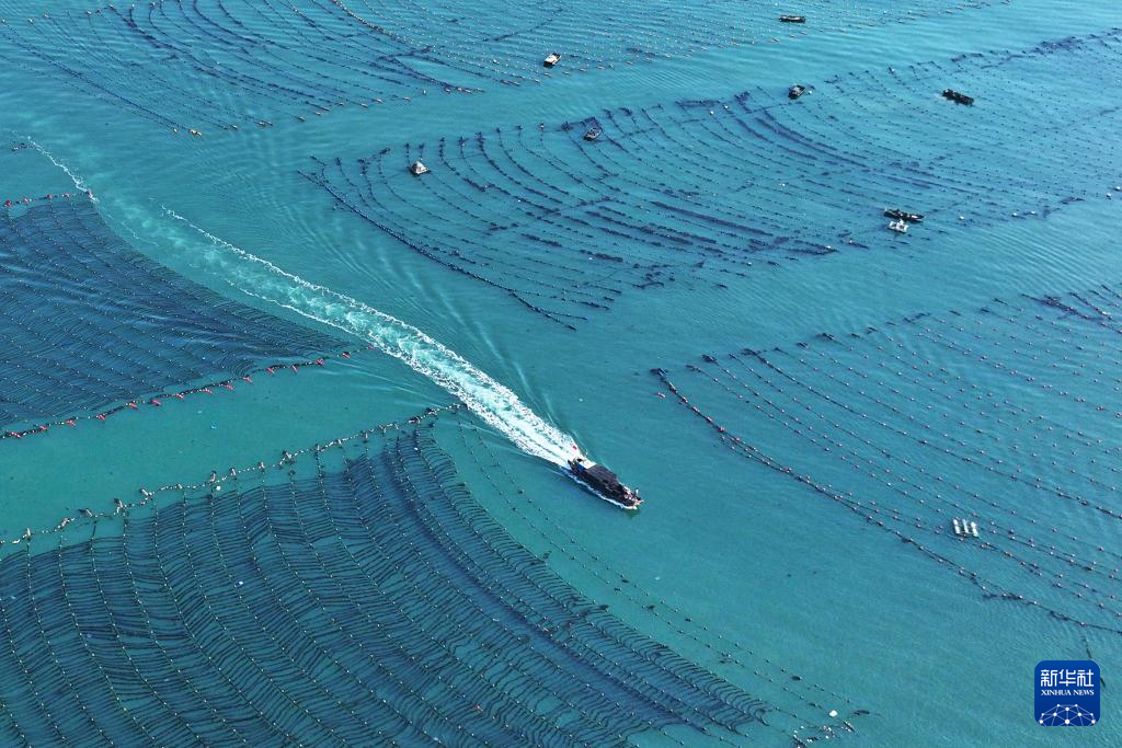 山东：耕海牧渔充盈“蓝色粮仓”