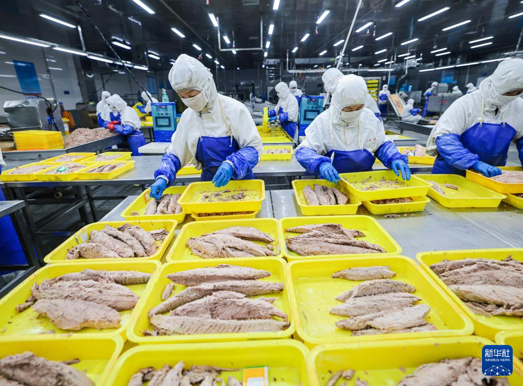 山东：耕海牧渔充盈“蓝色粮仓”