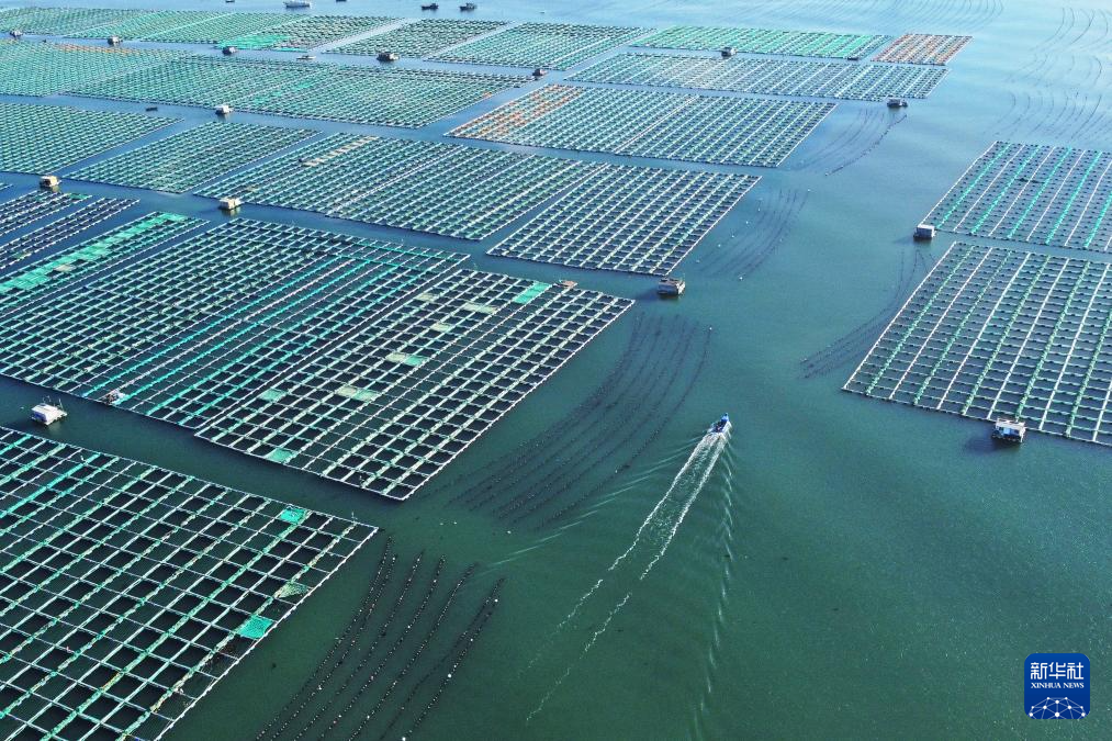 山东：耕海牧渔充盈“蓝色粮仓”