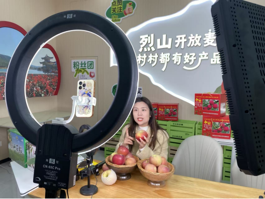 安徽淮北宋疃镇和村：“小果子”开启致富路