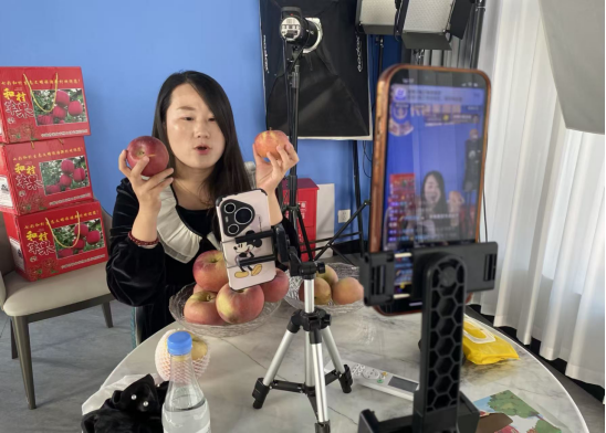 安徽淮北宋疃镇和村：“小果子”开启致富路