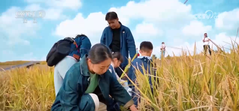 多地中小学进入“秋假时间” 多元场景“解锁”假期新体验