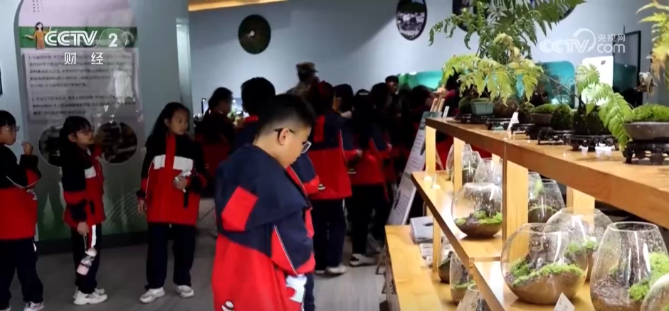 多地中小学进入“秋假时间” 多元场景“解锁”假期新体验