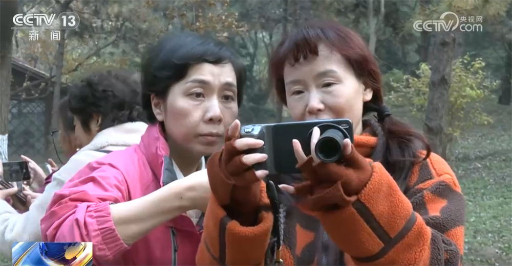 “科技范儿”“悦己型”……银发消费花式“上新”潜能迸发 服务供给加速升级