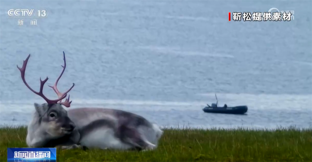 “科技范儿”“悦己型”……银发消费花式“上新”潜能迸发 服务供给加速升级