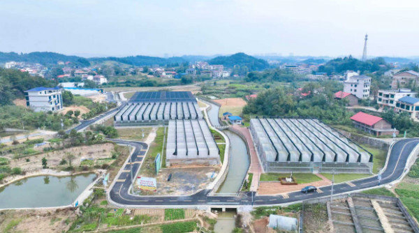 【理响中国·一线探新】产业振兴绘就“诗画田园” 截图20251113103656