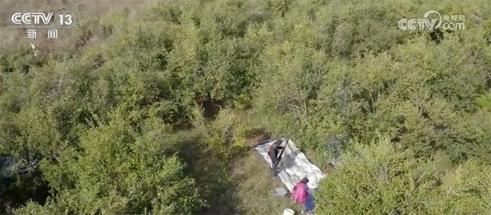 特色产业绘就百姓增收“实景图” 激活乡村振兴“一池春水”